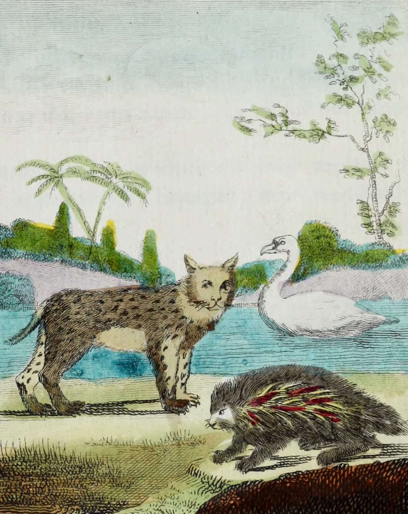 Geographie Vivante, ou, Tableaux Raisonnes - Le Linx, le Coendou, le Cygne (1821)