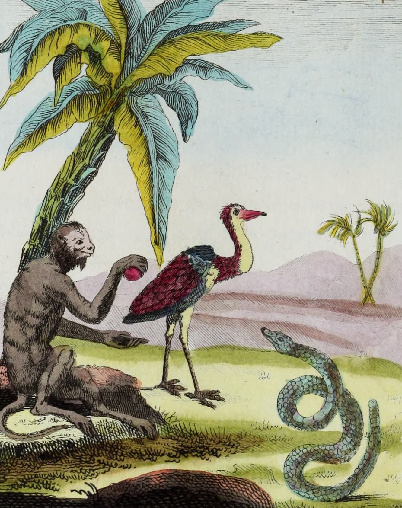 Geographie Vivante, ou, Tableaux Raisonnes - Le Singe, le Serpent a Sonnelles, le Heron (1821)