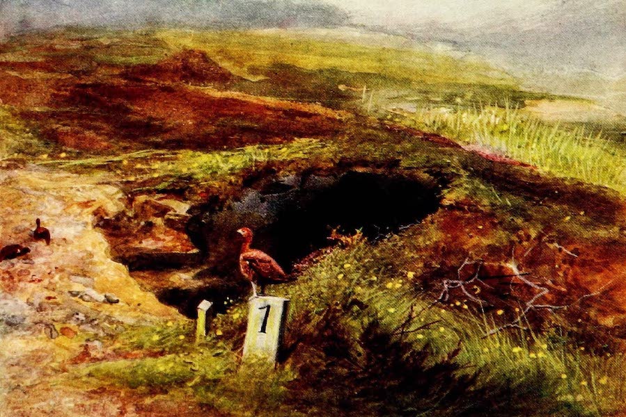 Grouse and Grouse Moors - A sunk Butt at Moy Hall (1910)