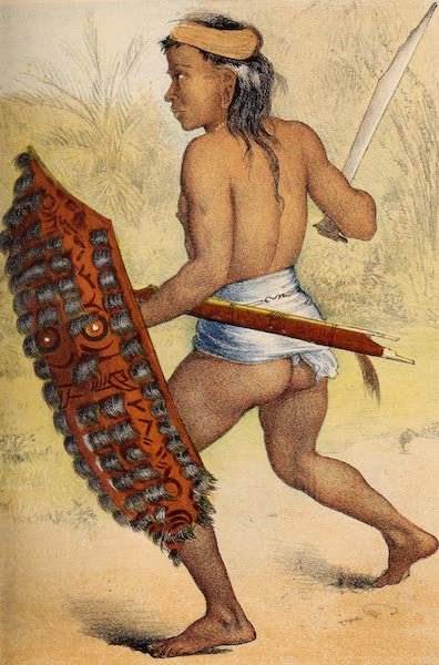 Head-Hunters of Borneo - Tring Dyak's War Dance (1882)