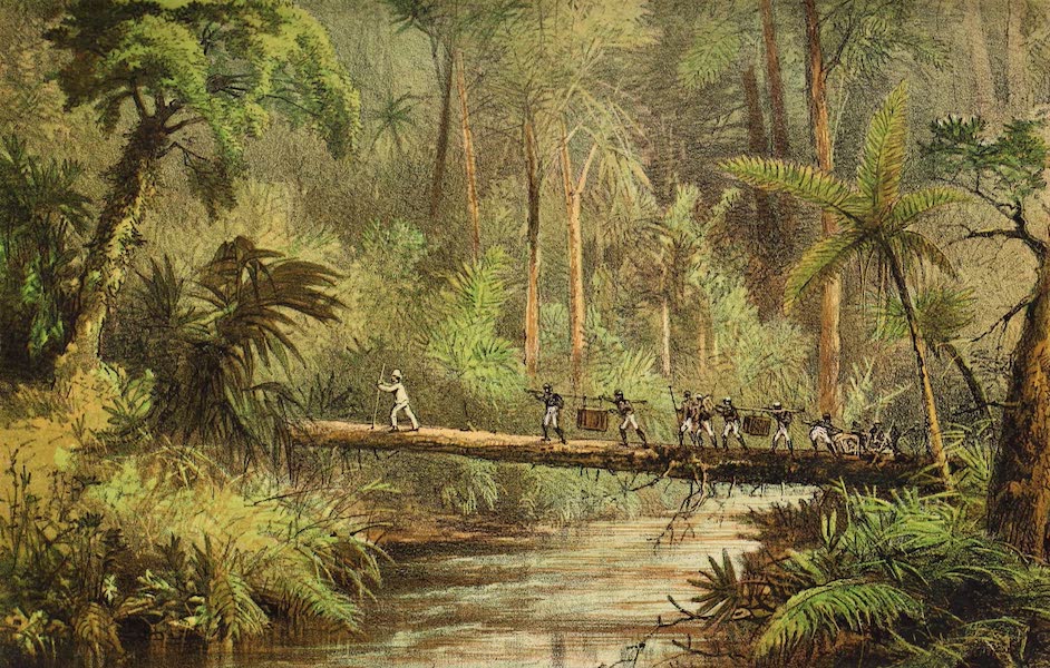 Head-Hunters of Borneo - Crossing the River Benangan (1882)
