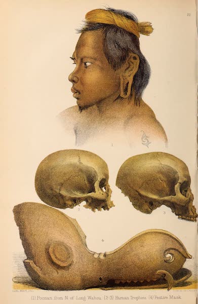 Head-Hunters of Borneo - Poonan from north of Long Wahou / Human Trophies / Festive Mask (1882)