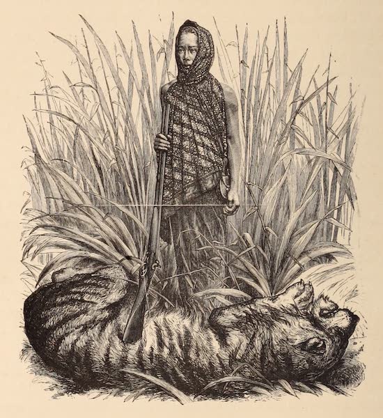 Head-Hunters of Borneo - Sinen the Hermaphrodite Tiger-Hunter (1882)