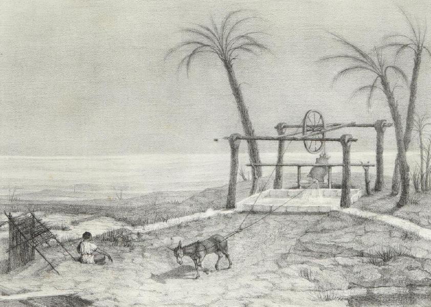 Histoire de l'Egypte sous le Gouvernement de Mohammed-Aly [Atlas] - Puits a Roue du Pays de Nedjd (1823)