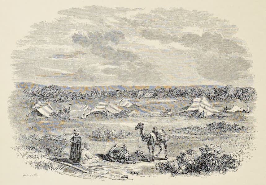 History of the Recent Discoveries at Cyrene - Arab Camp near Teuchiba (1864)