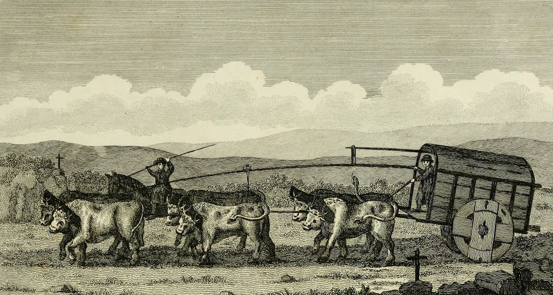 History of the Viceroyalty of Buenos Ayres - Method of Drawing by Oxen in Spanish America (1807)