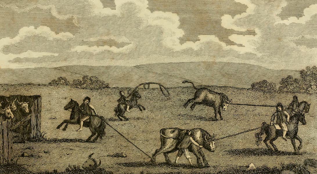 History of the Viceroyalty of Buenos Ayres - Manner of Catching and Slaughtering Bullocks in Paraguay (1807)