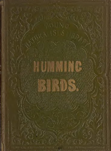 Aquatint & Lithography - Humming Birds, Described and Illustrated