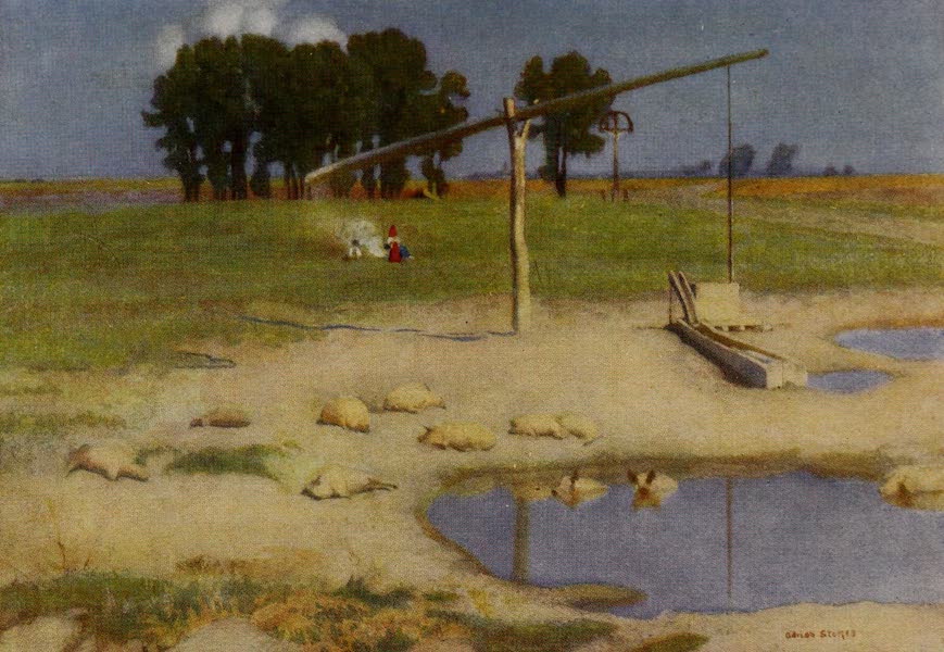 Hungary, Painted and Described - Swine at their Bath, near Kalocsa (1909)