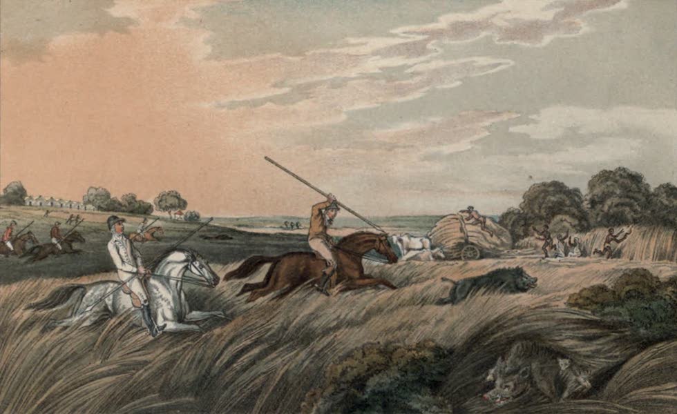 Illustrations of Indian Field Sports - The Chase After a Hog (1892)