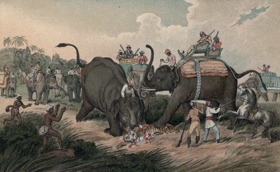 Illustrations of Indian Field Sports - The Dead Tiger (1892)