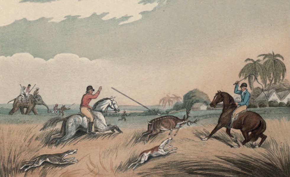 Illustrations of Indian Field Sports - The Hog Deer at Bay (1892)