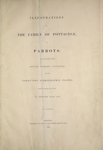 Natural History - Illustrations of the Family of Psittacidae, or Parrots