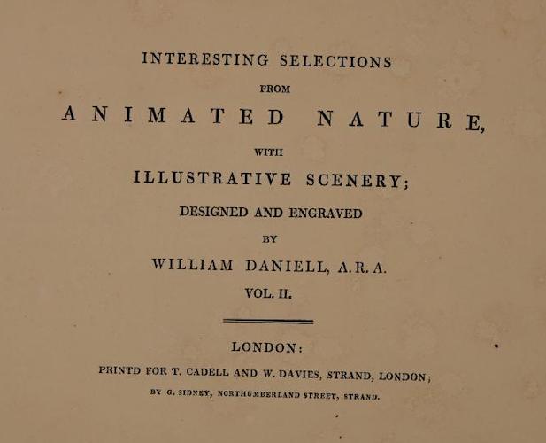 Aquatint & Lithography - Interesting Selections from Animated Nature Vol. 2