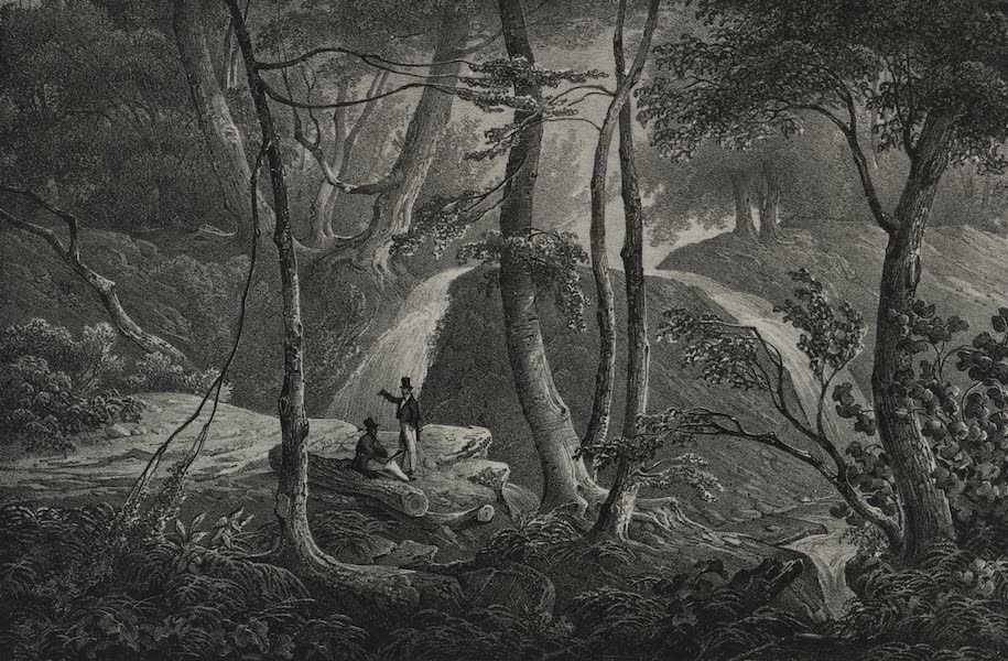 Itineraire Pittoresque du Fleuve Hudson Atlas - Falls near Schooley's Springs (1828)