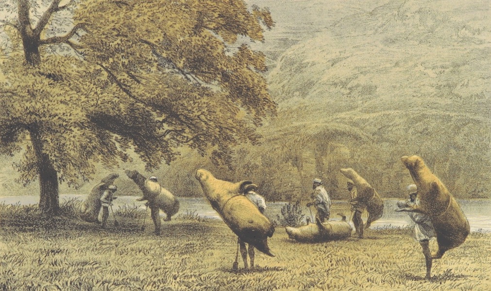 Kulu: It's Beauties, Antiquities and Silver Mines - Ferry Men in Kulu with Inflated Buffalo Skins (1873)