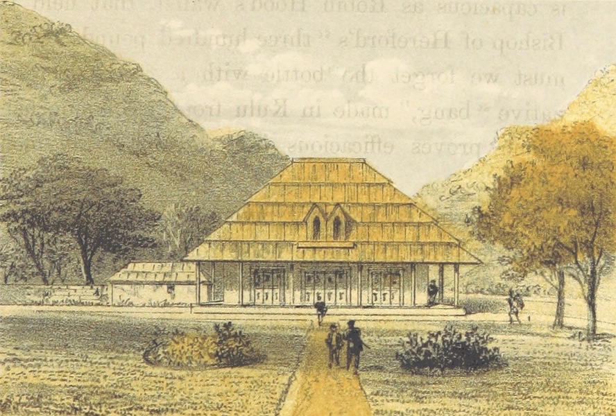 Kulu: It's Beauties, Antiquities and Silver Mines - Reison Tea Garden (1873)