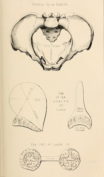 Ladak, Physical, Statistical, and Historical - [Pelvis, cap etc] (1854)