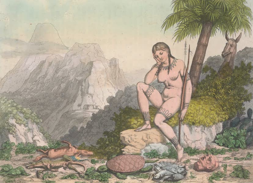 Le Costume Ancien et Moderne [Amerique] Vol. 1 - L'Amerique representee sous des figures allegoriques (1820)