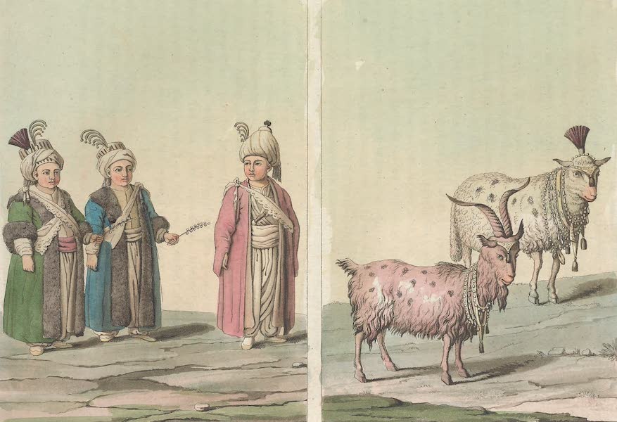Le Costume Ancien et Moderne [Europe] Vol. 1, Pt. 3 - XXXVIII. Ceremonies dans la circoncision et dans les sacrifices (1823)