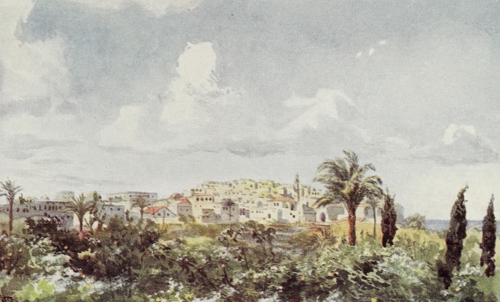 Jaffa