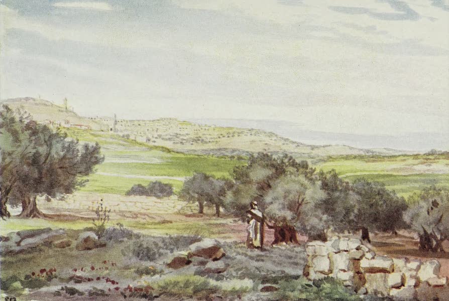 Letters from the Holy land - Bethlehem from the Sheepfold, Field of Boaz (1906)