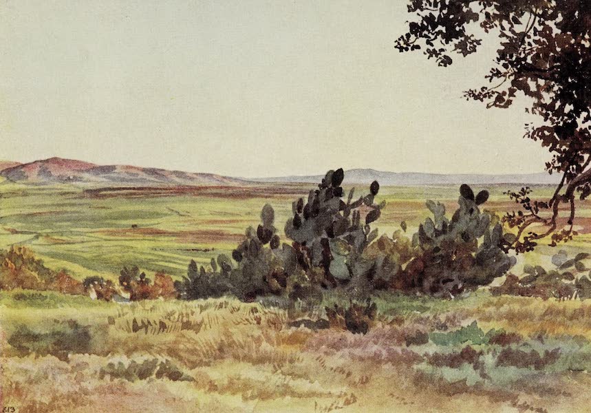 Letters from the Holy land - The Plain of Esdraelon, from foot of Tabor, with the village of Naim in distance (1906)