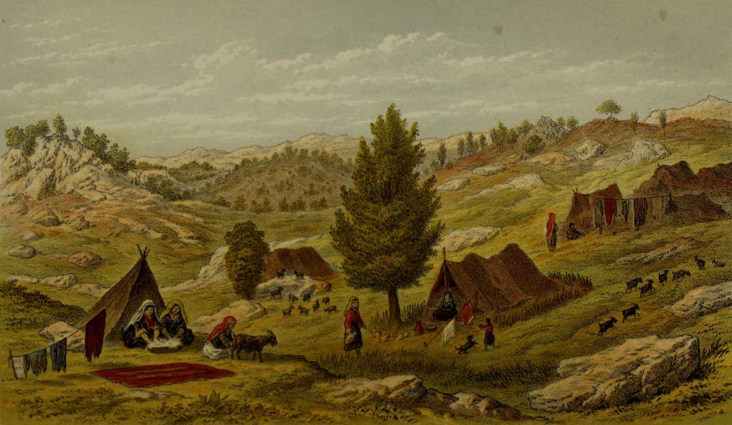 Life in Asiatic Turkey - Yourouk Encampment in the Taurus (1879)