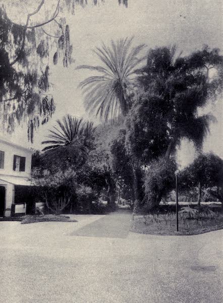 A Corner at the Casino Gardens