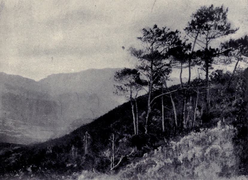 Approaching the Machico Valley