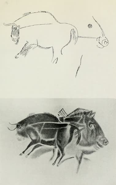 Prehistoric Painting in the Altamira Cavern