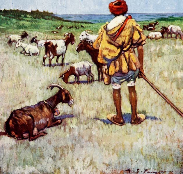 A Shepherd, Cape Spartel