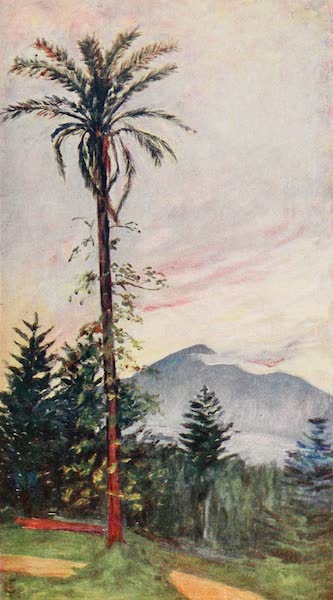 Naples, Painted and Described - View taken from the Grounds of the Villa Antonietta, Quisiana (1904)