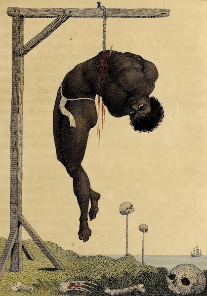 A Negro hung alive by the Ribs to a Gallows