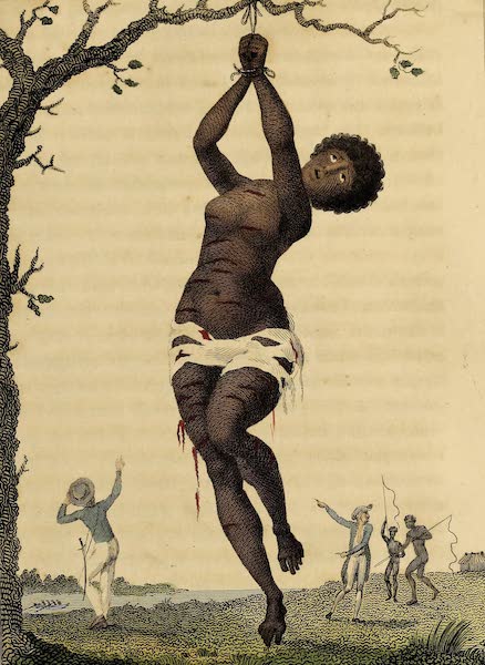 Narrative, of a Five Years Expedition Vol. 1 - Flagellation of a Female Samboe Slave (1796)