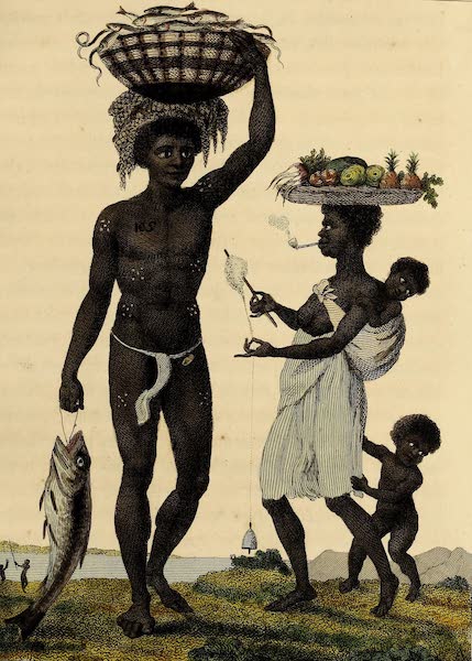 Narrative, of a Five Years Expedition Vol. 2 - Family of Negro Slaves from Loango (1796)