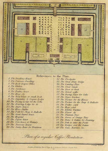 Plan of a regular Coffee Plantation