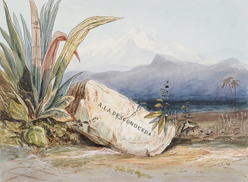 Narratives of South America - A. La. Desconoceda (1836)