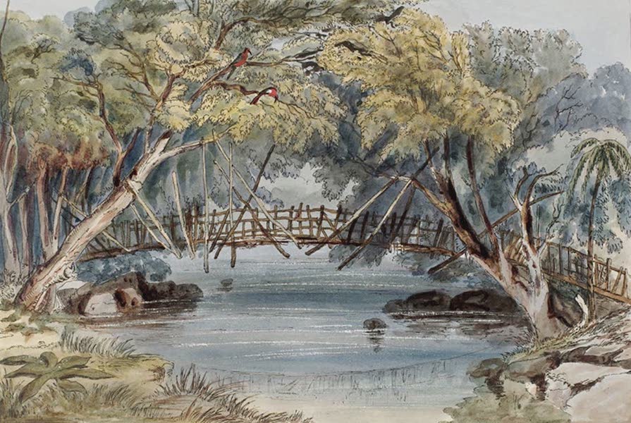 The Bridge at Marquita