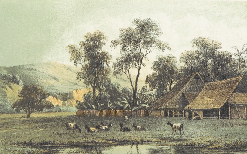 Neerlands-Oost-Indie Vol. 2 - Vallei Batoe-gadjah (1859)
