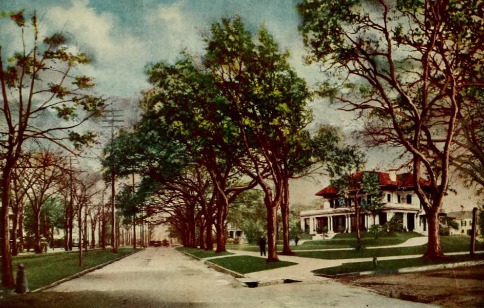 New Orleans, The Gateway to the Panama Canal - St. Charles Avenue (1913)