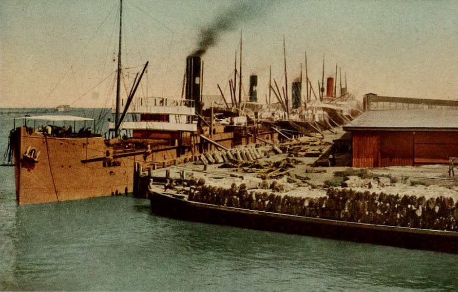 New Orleans, The Gateway to the Panama Canal - New Orleans Port [V] (1913)