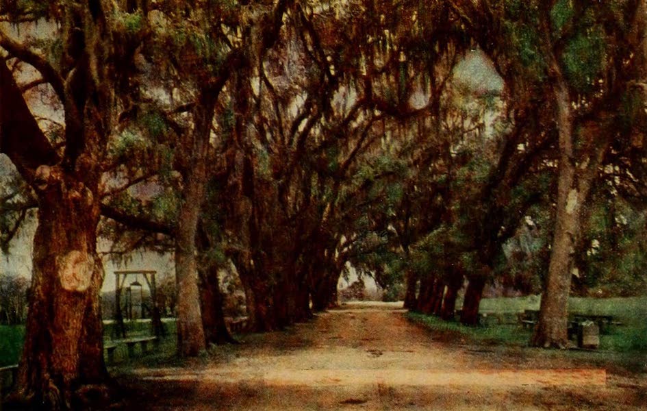 New Orleans, The Gateway to the Panama Canal - Audubon Park (1913)