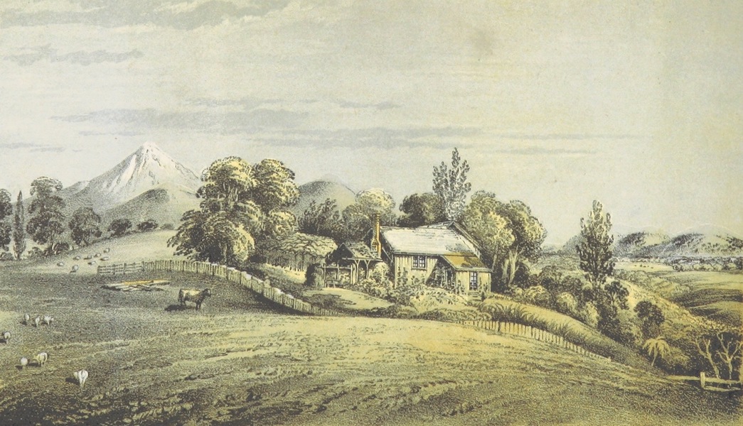 Cottage of a Small Farmer, New Plymouth
