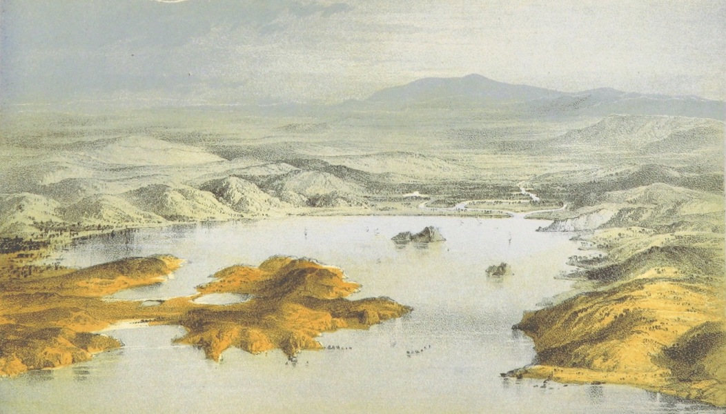 Wellington Town