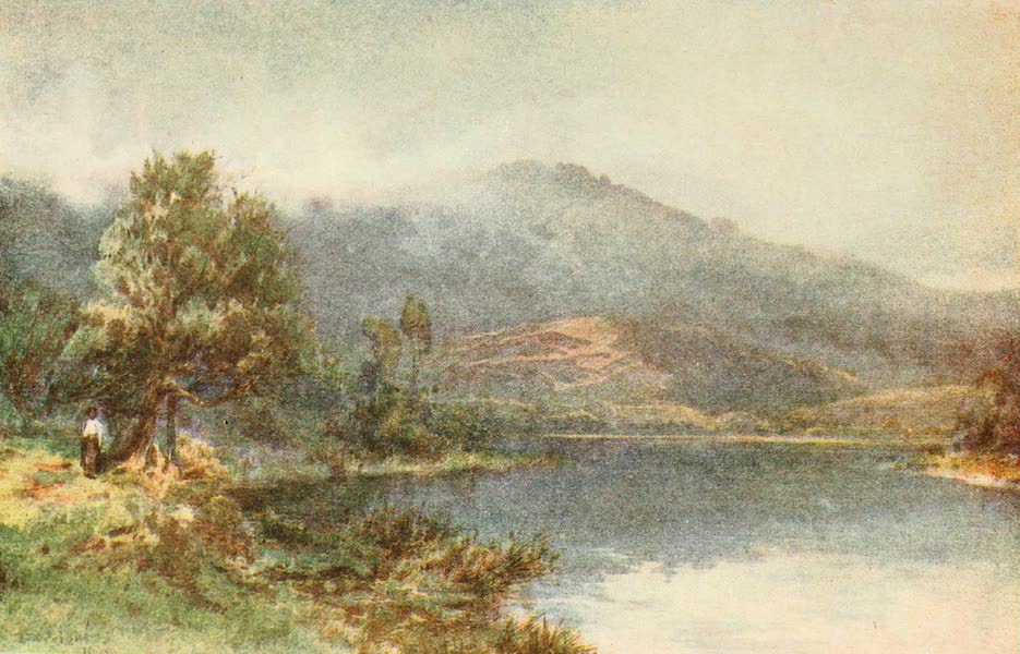 The Waikato at Ngaruawahia