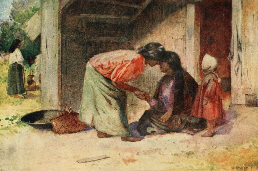 New Zealand, Painted and Described - "Te Hongi" (1908)