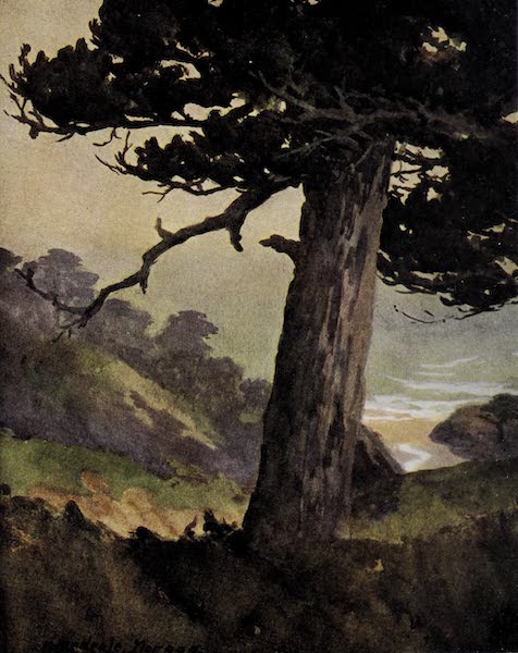 On Sunset Highways - The Gate of Valpaiso Canyon, Monterey (1915)