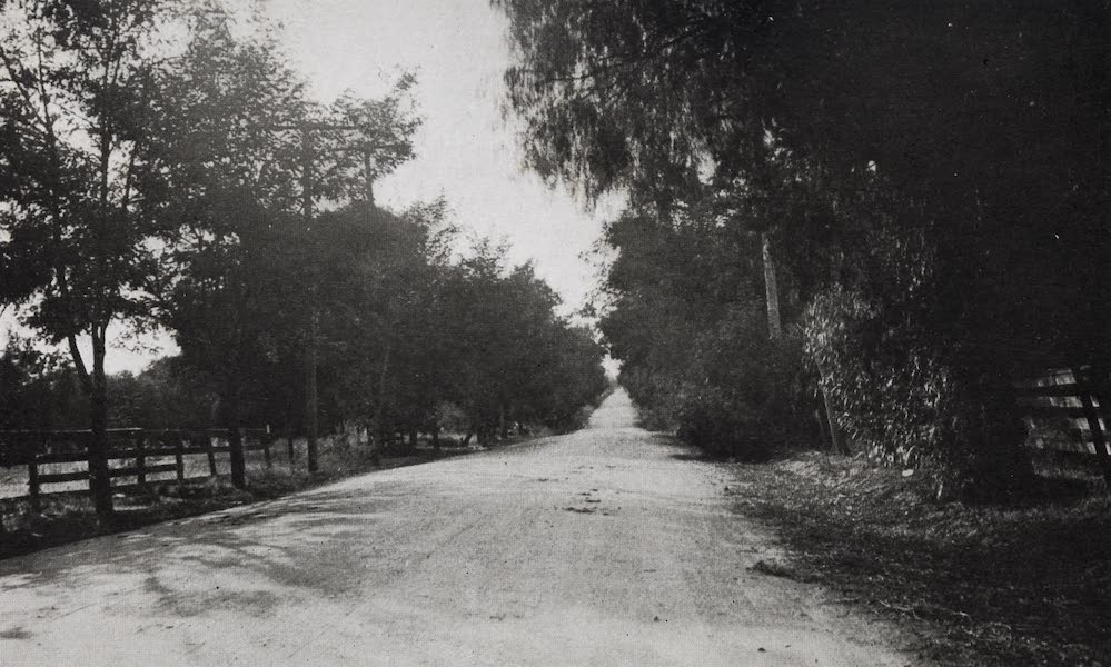 On Sunset Highways - The Foothill Boulevard near Monrovia (1915)