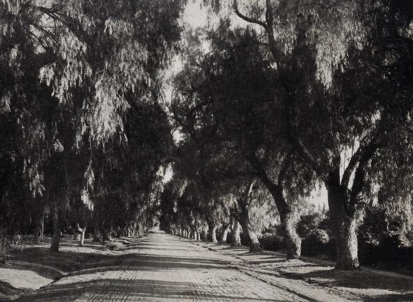 On Sunset Highways - Mangolia Drive, Riverside (1915)